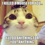 30 Funny Animal Memes - QuotesHumor.com