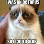 30 Grumpy Cat Funny Quotes - QuotesHumor.com