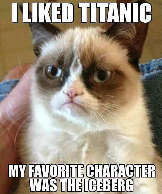 30 Grumpy cat Funny Quotes 28 #Grumpy cat #Funny memes | QuotesHumor.com