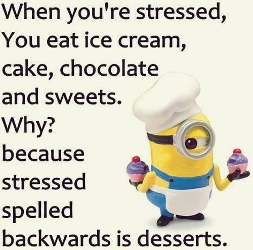 pinterest funny quotes