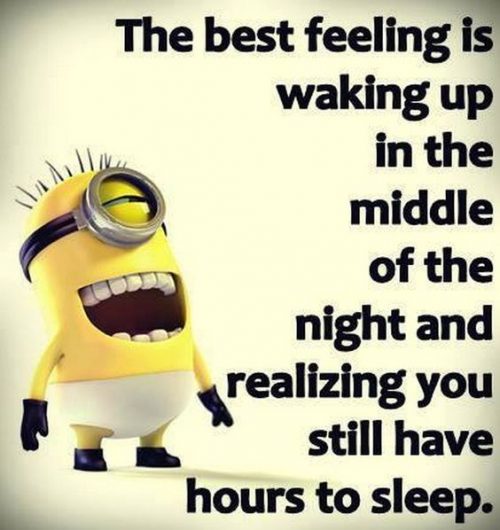 40 Funniest Minion Quotes and Sayings 2 Minion Funny Memes 500x530