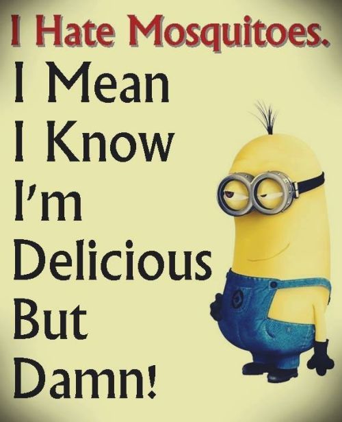 40 Funniest Minion Quotes and Sayings 7 #Minion #Funny Memes ...