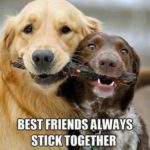 Top 30 Best Friend Quotes - QuotesHumor.com