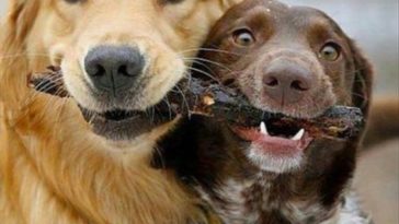 Top 30 Best Friend Quotes - QuotesHumor.com