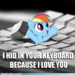 25 My Little Pony Funny Quotes - QuotesHumor.com