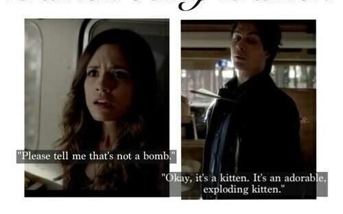 25 Vampire Diaries Funny Quotes - QuotesHumor.com