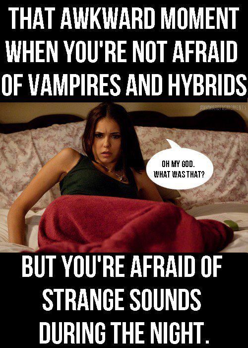 25 Vampire Diaries funny quotes 23 #Vampire #Diaries 
