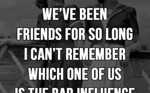 30 Best Funny Friendship Quotes - QuotesHumor.com