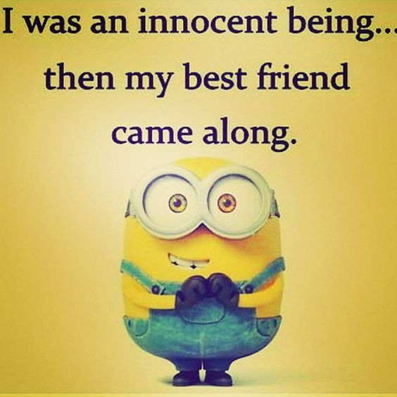 30 Best Funny Friendship Quotes 20 #Funny Friendship #Quotes |  
