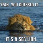 Top 30 Funny Pictures Funny Pictures - QuotesHumor.com