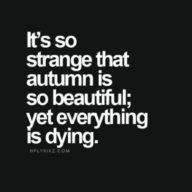 25 Deep Quotes About Life - QuotesHumor.com