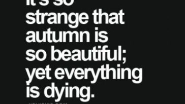 25 Deep Quotes About Life - QuotesHumor.com