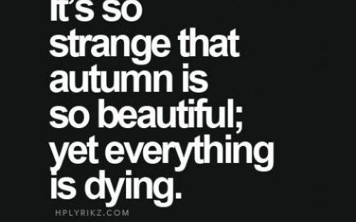 25 Deep Quotes About Life - QuotesHumor.com