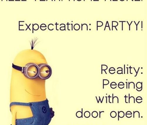 Top 40 Funny Minions Memes - QuotesHumor.com