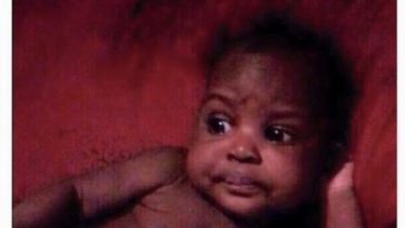 Top 30 Funny Baby Memes - QuotesHumor.com