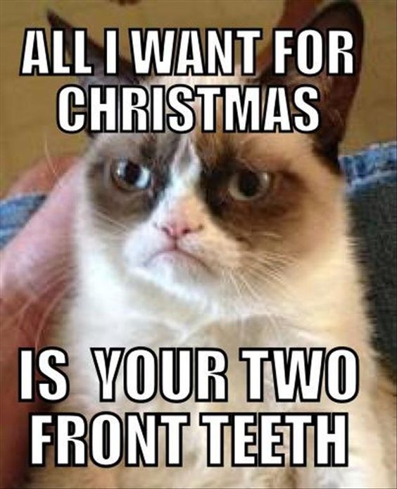 30 Funny Christmas Memes | Page 3 of 5 | QuotesHumor.com