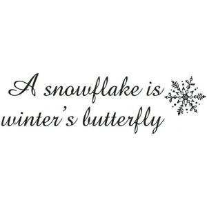 Motivational Snowflake Sayings And Quotes | 91 Quotes X