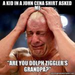 29 Hilarious WWE Memes - QuotesHumor.com
