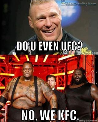 29 Hilarious WWE Memes 