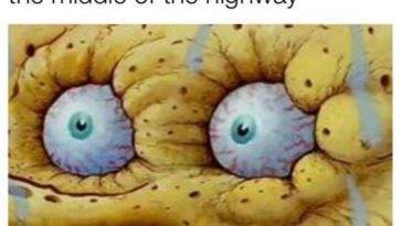 Pokemon Go Memes - QuotesHumor.com