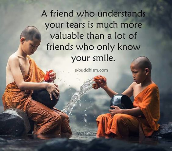 30 Best Friendship Captions  QuotesHumor.com