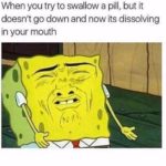 19 Relatable Memes - QuotesHumor.com