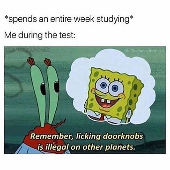 19 Relatable Memes