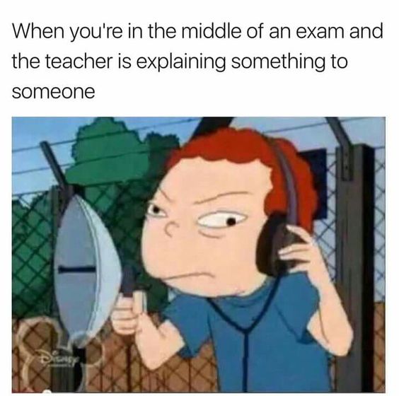 19 Relatable Memes