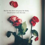 Top 25 Rose Day Quotes - QuotesHumor.com