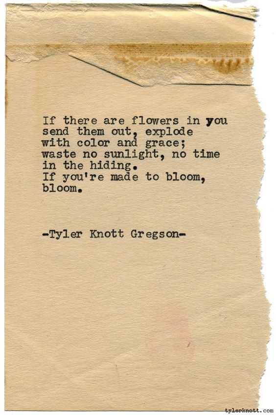 Top 25 Rose Day Quotes