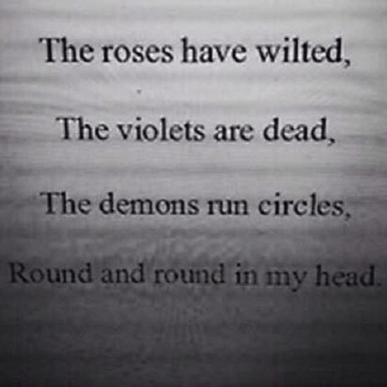 Top 25 Rose Day Quotes