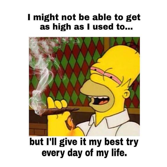 Top 25 Simpsons Meme  Page 4 of 5  QuotesHumor.com