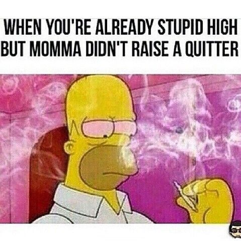 Top 25 Simpsons Meme