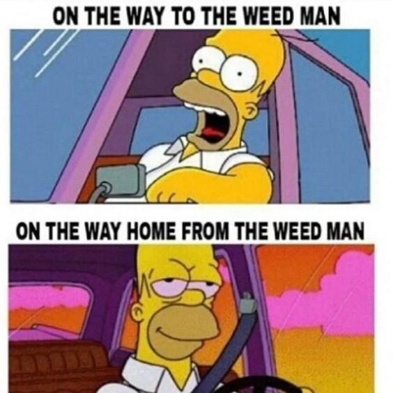 Top 25 Simpsons Meme