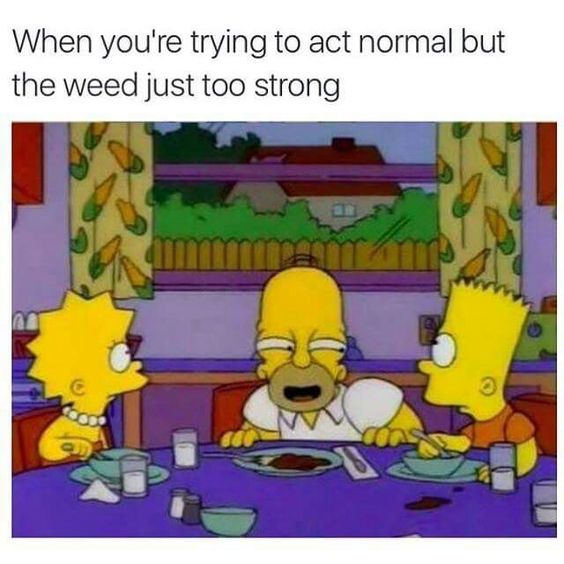 Top 25 Simpsons Meme