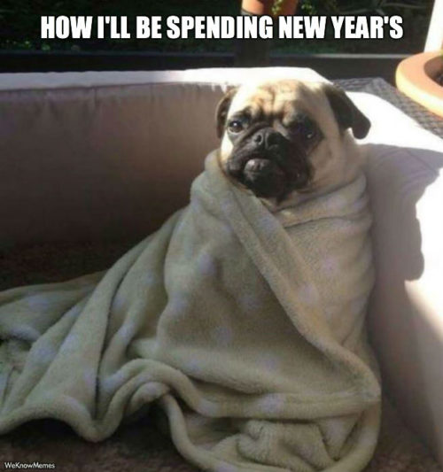 20 Funny New Year Memes  QuotesHumor.com