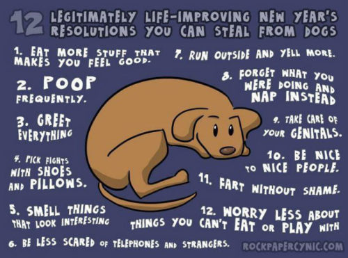 20 New Year Memes - QuotesHumor.com