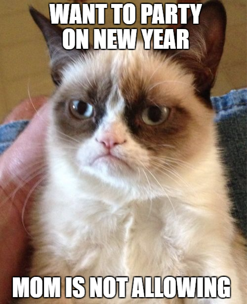 20 New Year Memes - QuotesHumor.com
