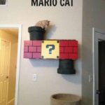 Top 40 Funny Cat Memes - QuotesHumor.com