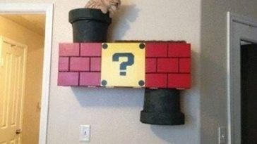 Top 40 Funny Cat Memes - QuotesHumor.com