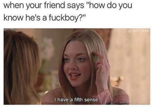 25 Mean Girl Memes That Burn - QuotesHumor.com