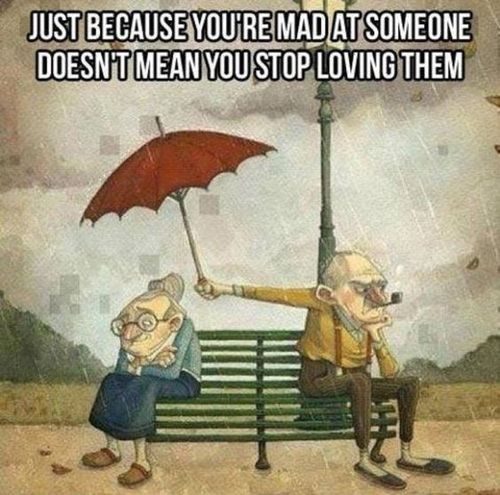 17 Memes for Valentines Day That Are So Relatable - QuotesHumor.com