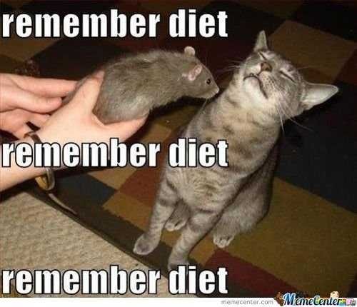 18 Memes On My 2018 New Diet - QuotesHumor.com