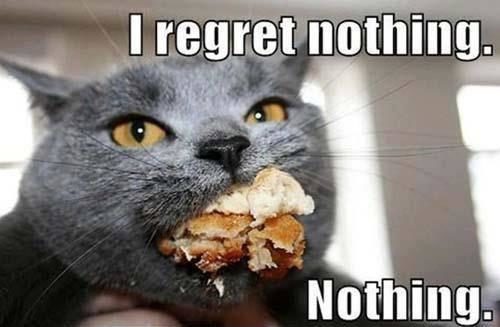 18 Memes On My 2018 New Diet - QuotesHumor.com