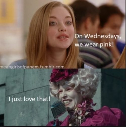25 Mean Girl Memes That Burn - QuotesHumor.com