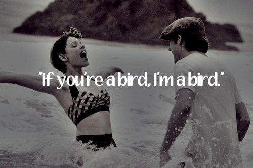 28 Love Quotes from Movies That Melt Your Heart - QuotesHumor.com