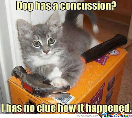 32 Memes About How Your Pet May Be An A$$hole - QuotesHumor.com