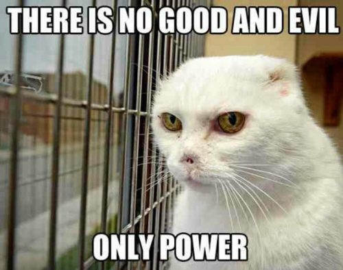 32 Memes About How Your Pet May Be An A$$hole - QuotesHumor.com