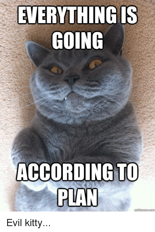 32 Memes About How Your Pet May Be An A$$hole - QuotesHumor.com