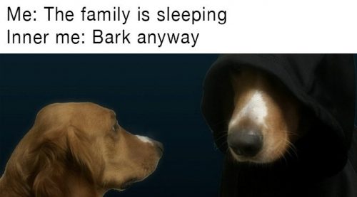 32 Memes About How Your Pet May Be An A$$hole - QuotesHumor.com